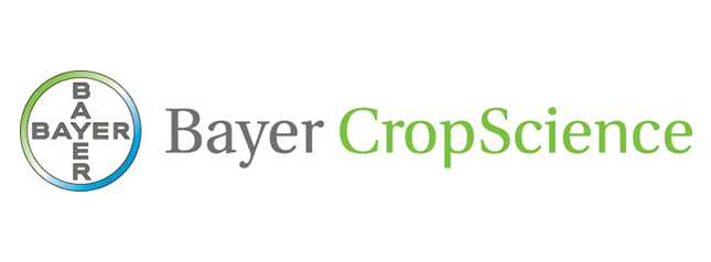 Bayer